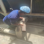 worker